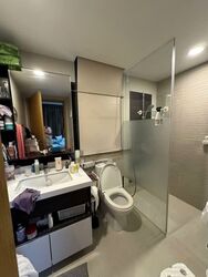 Blossom Residences (D23), Condominium #535756221